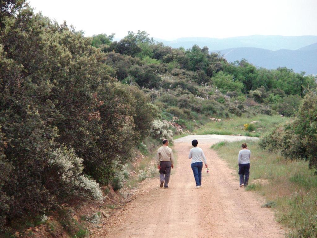 Urda Los Laureles Casa Rural المظهر الخارجي الصورة